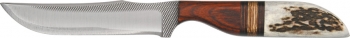 Anza Whitetail Knife Large 8 1-2 Inch Brown Sheath 103E