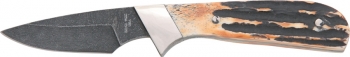 Bear and Son Invincible Skinner Stag Bone Knives BC582D