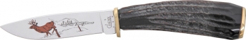 Case Case Whitetail. Knives CA687
