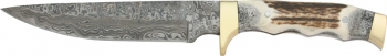 Frost Frost White Tail Bowie Knives FWT132