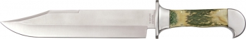 Imperial Schrade Schrade Bird Bowie Stag. knives SCHBOWST