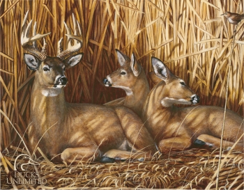 Tin Signs Ducks Unlimited TSN1039