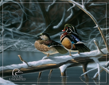 Tin Signs Tin Sign Ducks Unlimited TSN1141