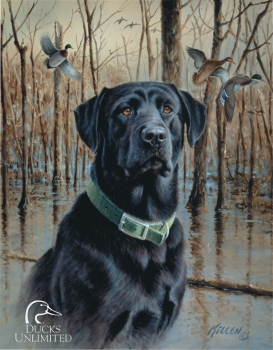 Tin Signs Ducks Unlimited TSN1203