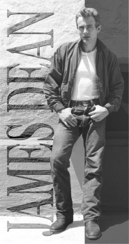 Tin Signs Tin Sign James Dean Rebel. TSN1205