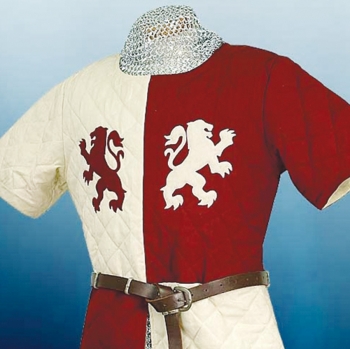 Movie items Assassins Creed Gambeson. MRP883008