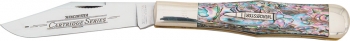 Winchester Winchester Abalone Coke Bottle knives - multitools WN18106