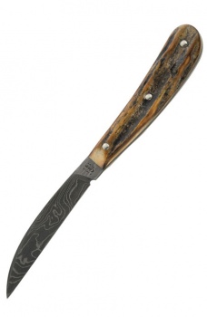 CA10012 Desk KnifeDamascus SteelGenuine Burnt Stag Handle CA10012