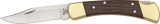 Buck Model 110 Hunter Lockback - BU110BRSCB