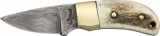 Fox-N-Hound Damascus Little Buddy with Gen - FH94