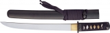 CAS Hanwei Raptor Tanto - PC2423