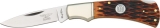 Rough Ryder Lockback Amber Bone - RR081