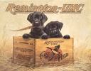 Tin Signs Remington Finders Keepers - TSN0932