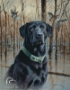 Tin Signs Ducks Unlimited - TSN1203