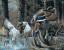 Tin Signs Ducks Unlimited - TSN1204