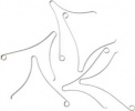 Victorinox Medium Scissor - VN38409