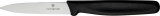 Victorinox Paring Knife - VN47508