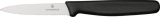 Victorinox Paring Knife - VN47509