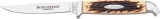 Winchester Bird And Trout Knife - WN14003